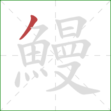 鰻的笔顺第1画：撇