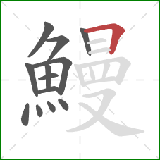 鰻的笔顺第13画：横折
