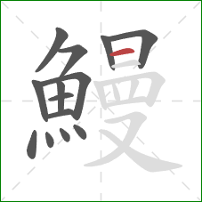 鰻的笔顺第14画：横