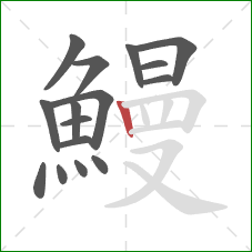 鰻的笔顺第16画：竖