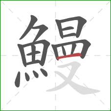 鰻的笔顺第20画：横