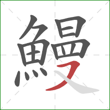鰻的笔顺第21画：横撇