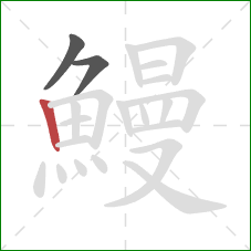 鰻的笔顺第3画：竖