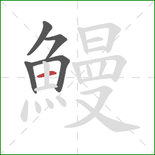 鰻的笔顺第5画：横