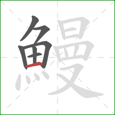 鰻的笔顺第7画：横