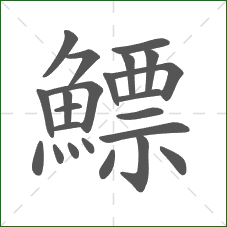 鰾的笔顺 鰾的笔顺