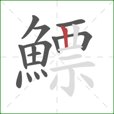 鰾的笔顺第15画:竖 鰾的笔顺第15画:竖