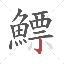 鰾的笔顺第20画:竖钩 鰾的笔顺第20画:竖钩