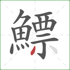 鰾的笔顺第21画:撇 鰾的笔顺第21画:撇