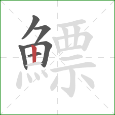 鰾的笔顺第6画:竖 鰾的笔顺第6画:竖