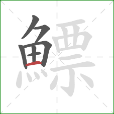 鰾的笔顺第7画:横 鰾的笔顺第7画:横