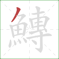 鱄的笔顺第1画:撇 鱄的笔顺第1画:撇