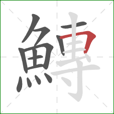鱄的笔顺第14画:横折 鱄的笔顺第14画:横折