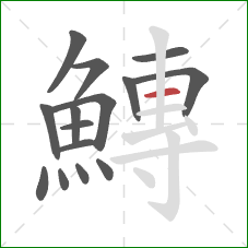 鱄的笔顺第15画:横 鱄的笔顺第15画:横