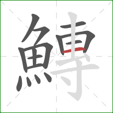 鱄的笔顺第16画:横 鱄的笔顺第16画:横