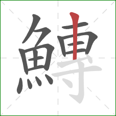 鱄的笔顺第17画:竖 鱄的笔顺第17画:竖