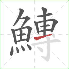 鱄的笔顺第18画:横 鱄的笔顺第18画:横