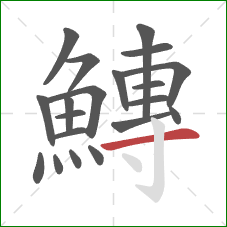 鱄的笔顺第20画:横 鱄的笔顺第20画:横