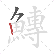 鱄的笔顺第3画:竖 鱄的笔顺第3画:竖