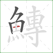 鱄的笔顺第5画:横 鱄的笔顺第5画:横