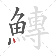 鱄的笔顺第9画:点 鱄的笔顺第9画:点