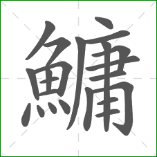 鱅的笔顺