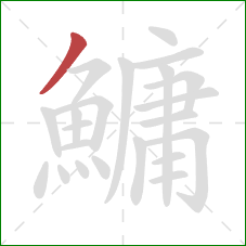 鱅的笔顺第1画：撇