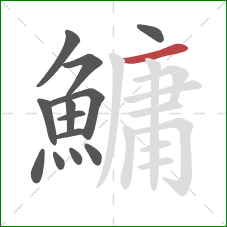 鱅的笔顺第13画：横