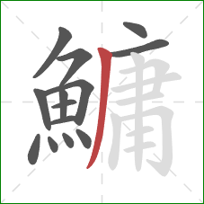 鱅的笔顺第14画：撇