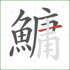 鱅的笔顺第16画：横