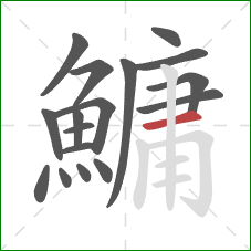 鱅的笔顺第17画：横