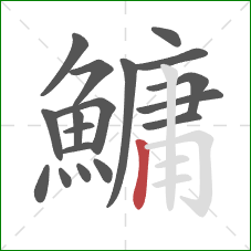 鱅的笔顺第18画：竖