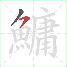 鱅的笔顺第2画：横撇