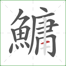 鱅的笔顺第20画：横