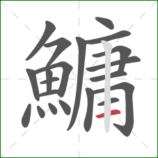 鱅的笔顺第21画：横