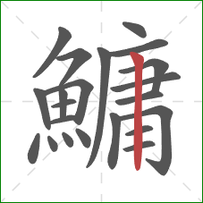 鱅的笔顺第22画：竖