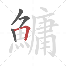 鱅的笔顺第4画：横折