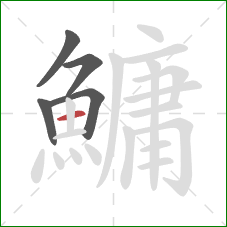 鱅的笔顺第5画：横