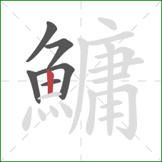 鱅的笔顺第6画：竖