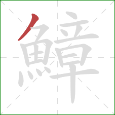 鱆的笔顺第1画：撇