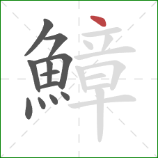 鱆的笔顺第12画：点