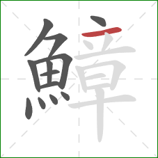 鱆的笔顺第13画：横