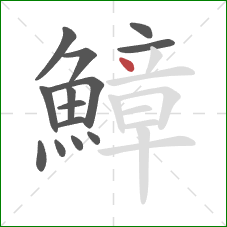 鱆的笔顺第14画：点