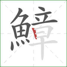 鱆的笔顺第17画：竖