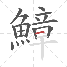 鱆的笔顺第19画：横