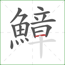 鱆的笔顺第20画：横