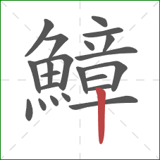 鱆的笔顺第22画：竖