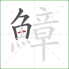 鱆的笔顺第5画：横