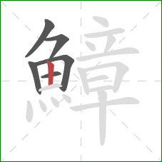 鱆的笔顺第6画：竖