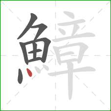 鱆的笔顺第9画：点